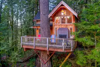 treehouse